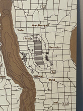 Load image into Gallery viewer, Seneca Lake Laser Engraved Painted Map