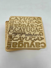 Load image into Gallery viewer, Finger Lakes Letter Coasters