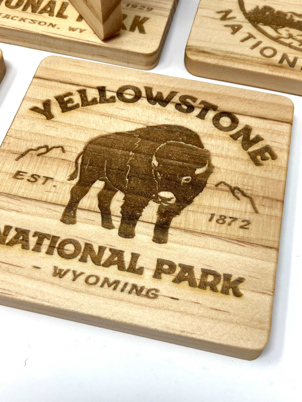 US National Parks Coasters