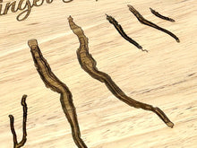 Load image into Gallery viewer, Finger Lakes Topographical Cutting Board