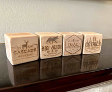 Load image into Gallery viewer, Adirondack 46 Peaks Building Blocks Trackers